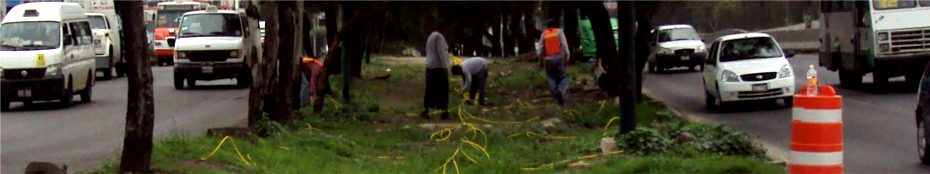 Геофизични проучвания