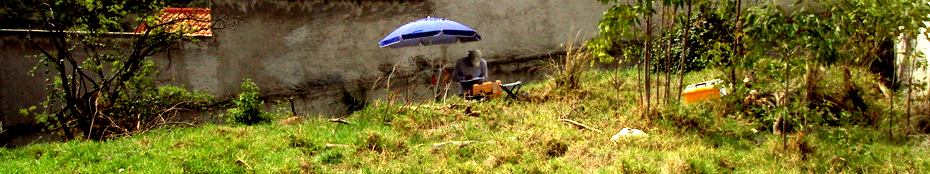 Estudios de Ingeniería Geofísica EIG S.A. de C.V.